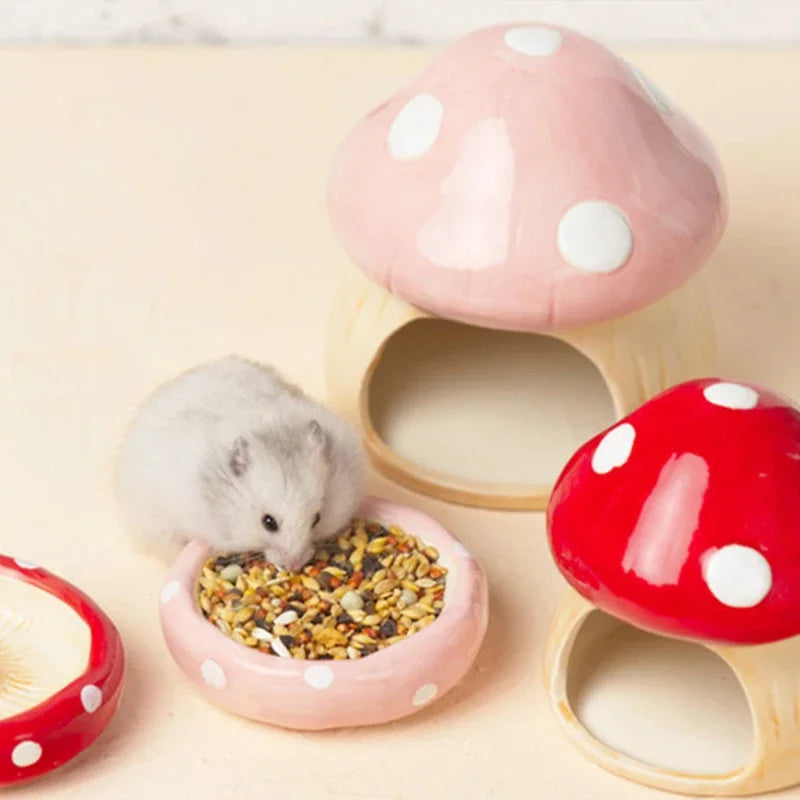 S9a504cc001dd404ca0d78c63405788572